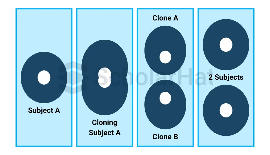 Real-world Illustration of Prototype Design Pattern